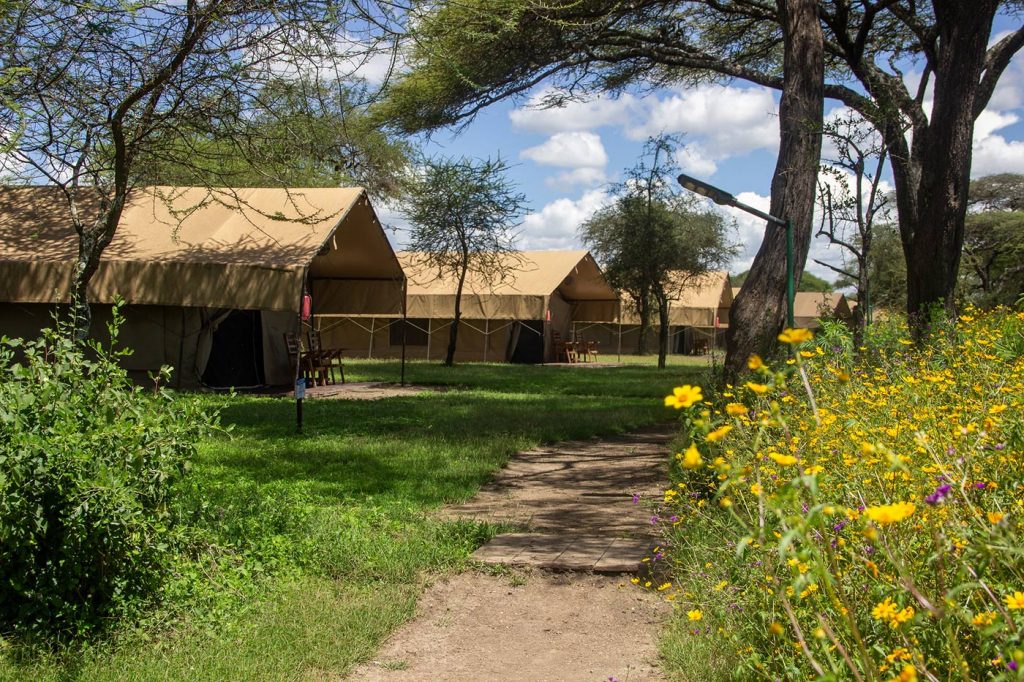Ngorongoro safari lodge