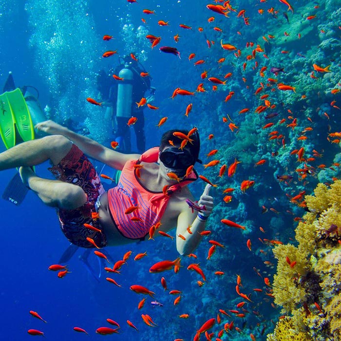 Zanzibar snorkeling activity