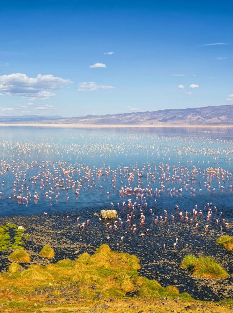 Tanzania Lake Natron birding